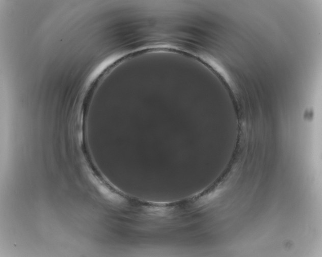 X0000092061127200709121349