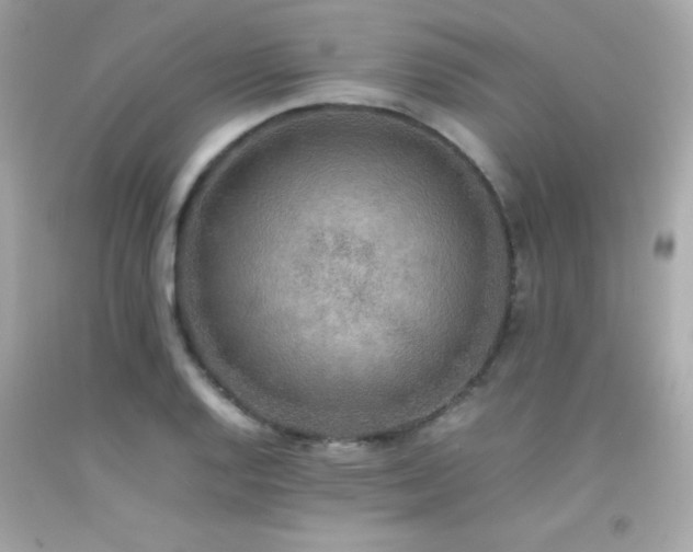 X0000092061128200709121349