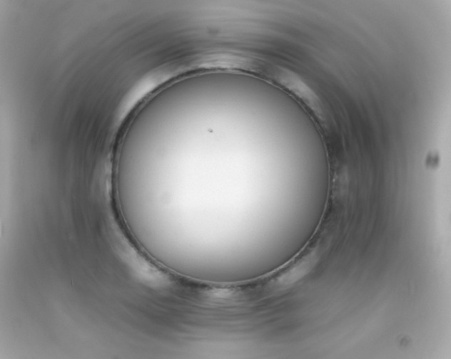 X0000092061130200709121349