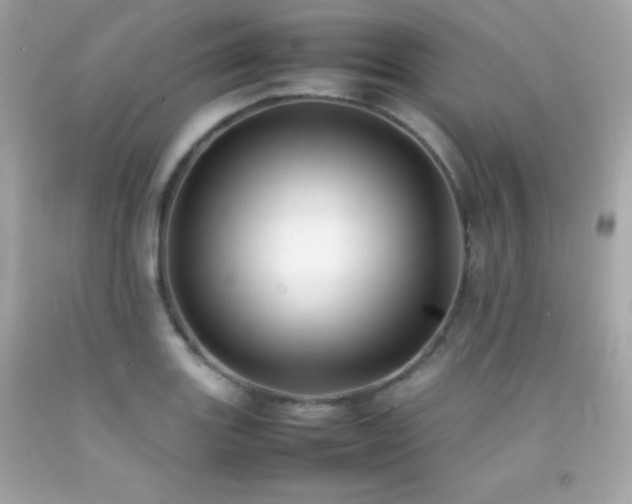 X0000092061131200709121349