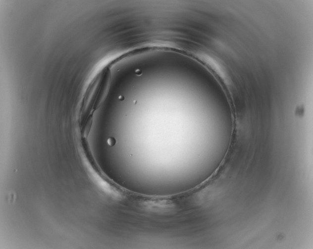 X0000092061133200709121349