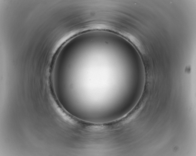 X0000092061134200709121349