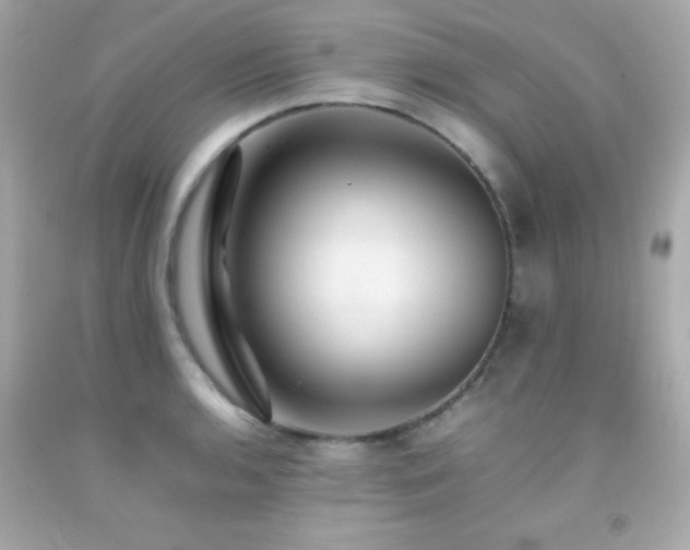 X0000092061136200709121349