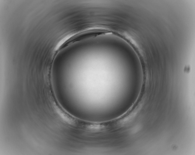 X0000092061137200709121349