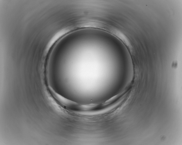 X0000092061138200709121349