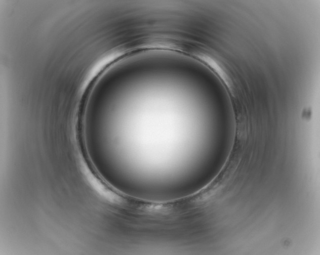 X0000092061139200709121349