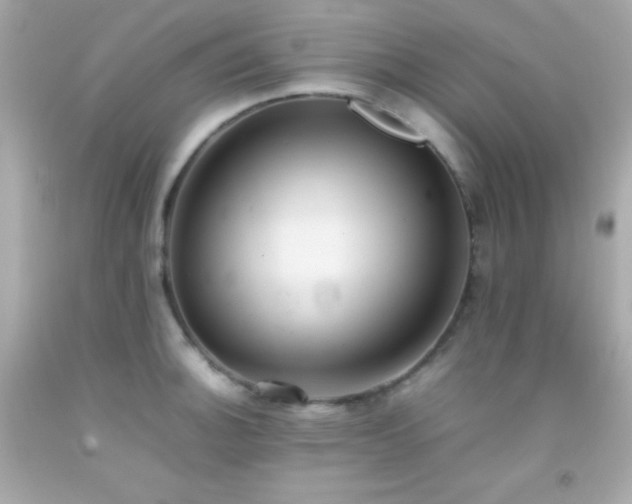 X0000092061140200709121349
