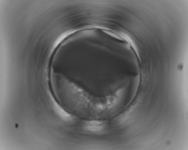 X0000092061141200709121349