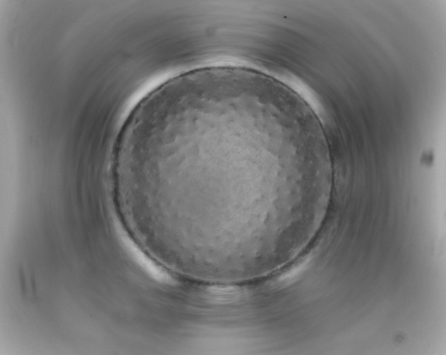 X0000092061142200709121349