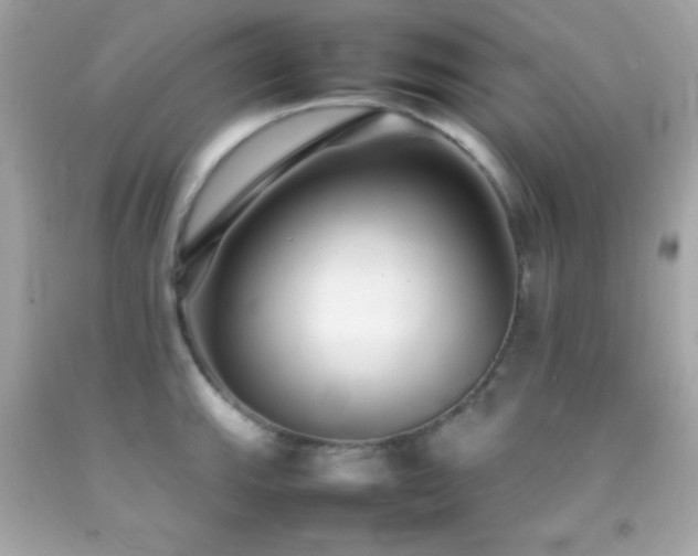 X0000092061143200709121349