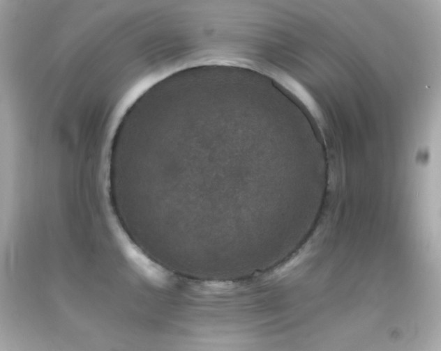X0000092061144200709121349