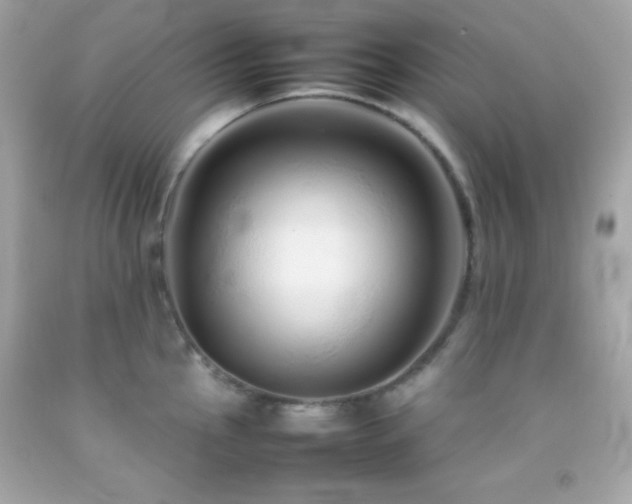 X0000092061145200709121349