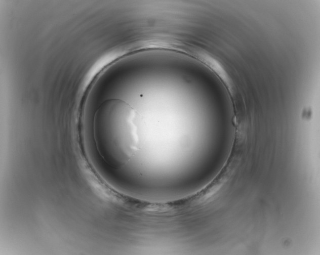 X0000092061146200709121349