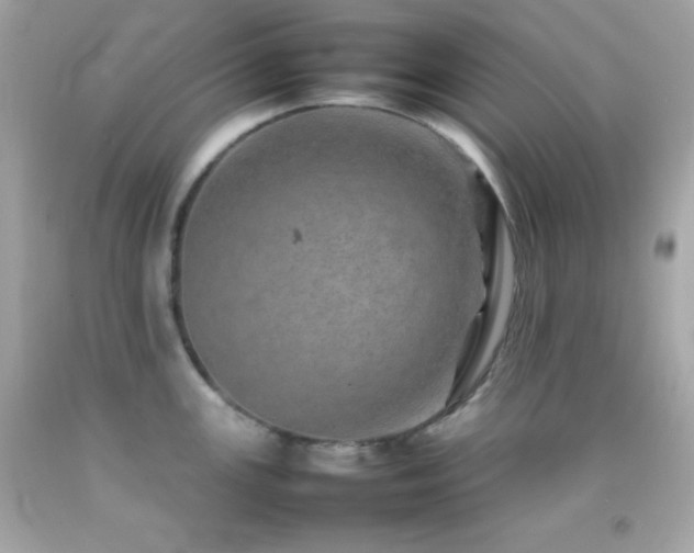 X0000092061147200709121349