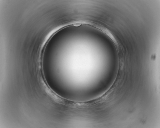 X0000092061148200709121349