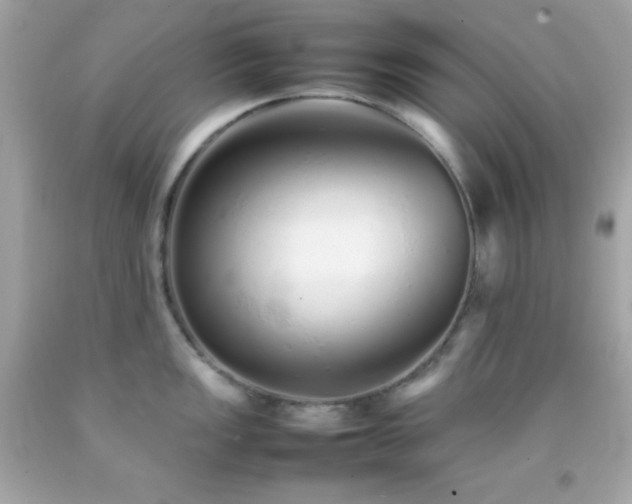X0000092061149200709121349