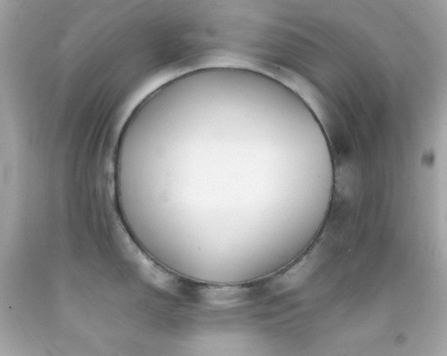 X0000092061150200709121349