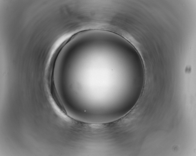 X0000092061152200709121349