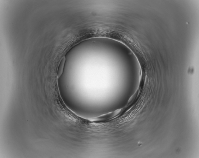 X0000092061153200709121349