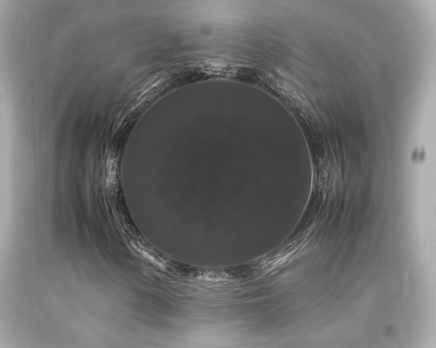 X0000092061154200709121349