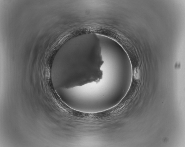 X0000092061155200709121349