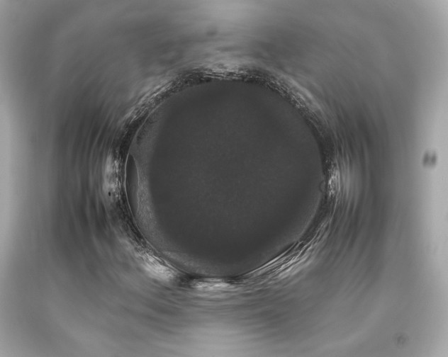 X0000092061156200709121349