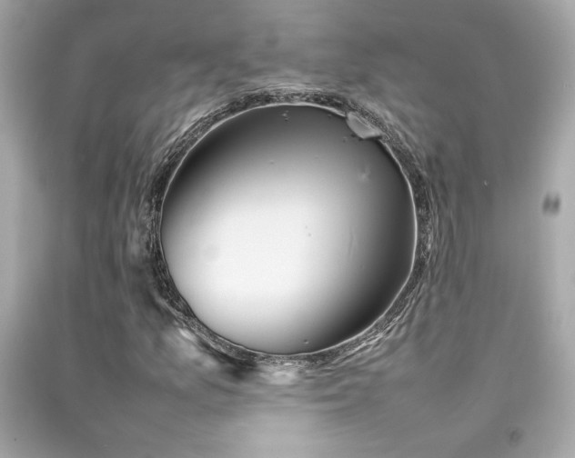X0000092061157200709121349