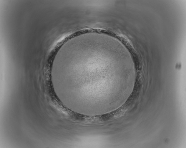 X0000092061159200709121349