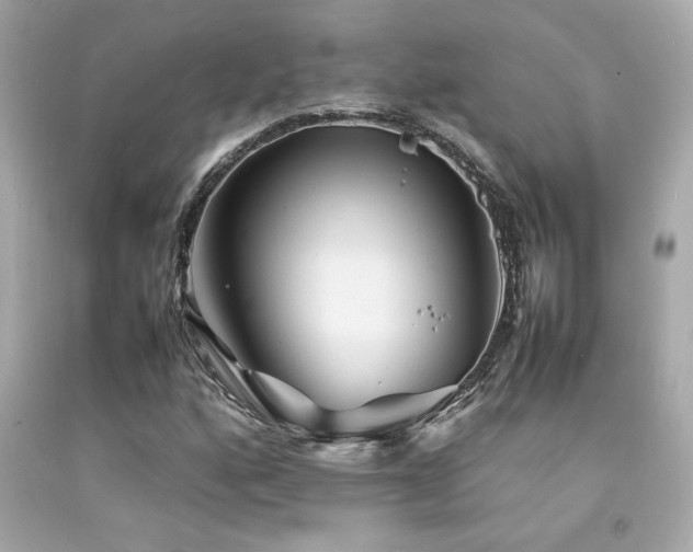 X0000092061160200709121349