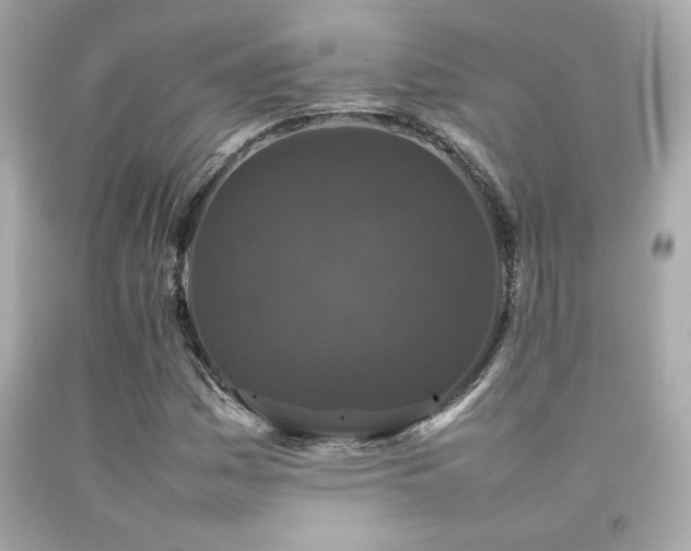 X0000092061161200709121349