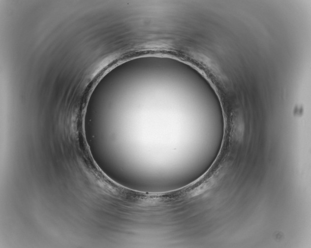 X0000092061162200709121349