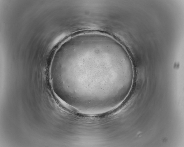 X0000092061163200709121349