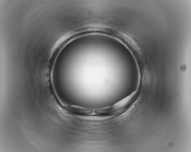 X0000092061164200709121349