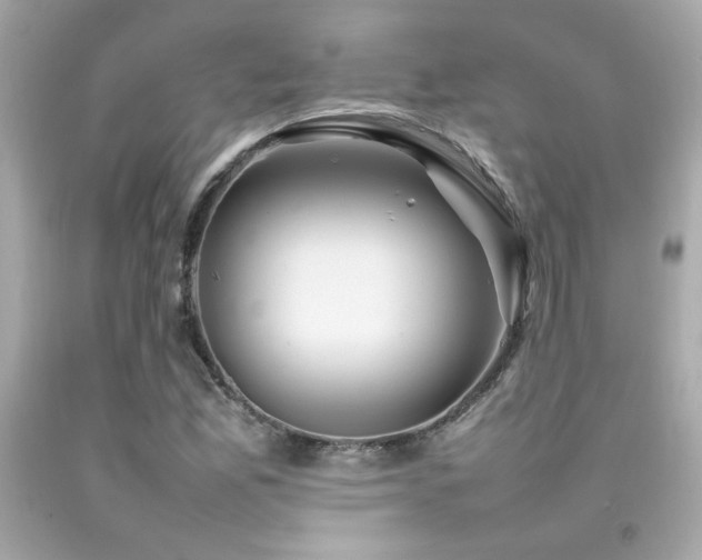 X0000092061165200709121349