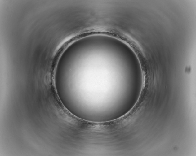 X0000092061166200709121349