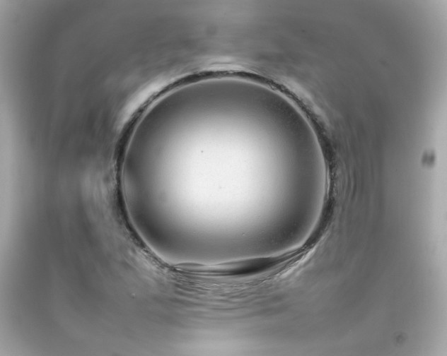X0000092061167200709121349