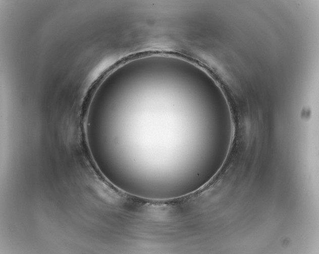 X0000092061168200709121349