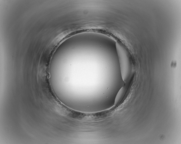 X0000092061169200709121349