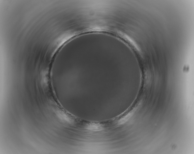X0000092061170200709121349
