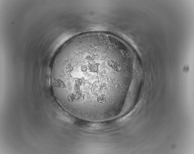 X0000092061171200709121349