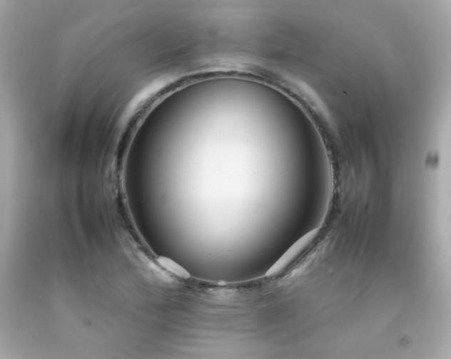 X0000092061172200709121348