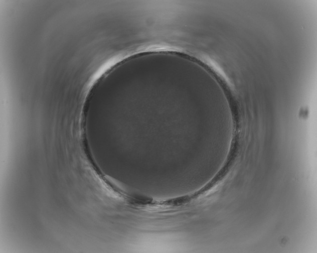 X0000092061173200709121348