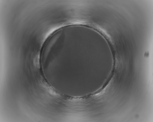 X0000092061174200709121348