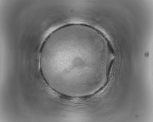 X0000092061175200709121348