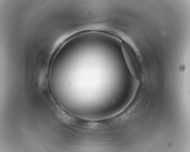 X0000092061176200709121348
