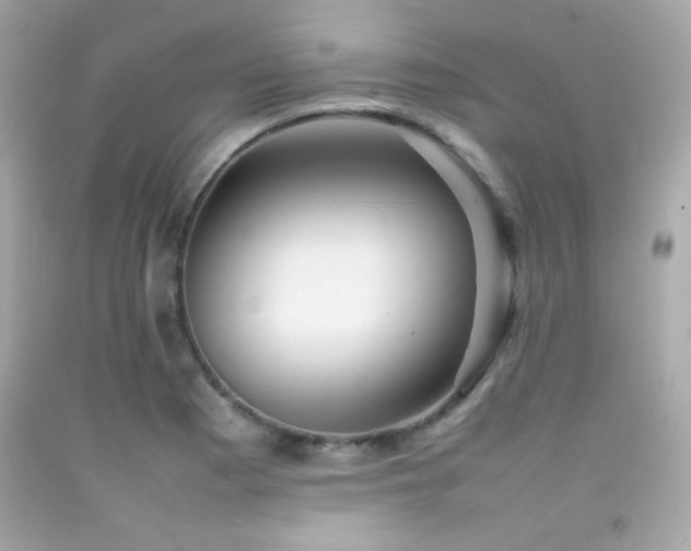 X0000092061177200709121348