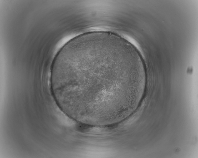 X0000092061179200709121348