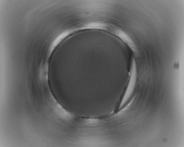 X0000092061180200709121348