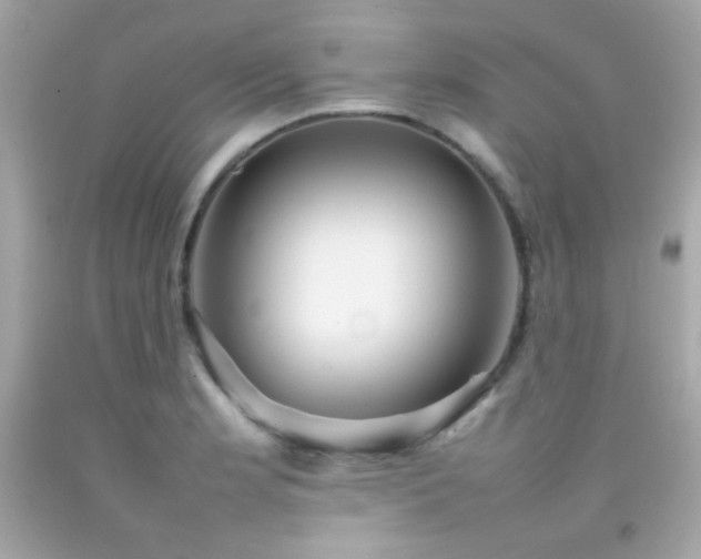 X0000092061181200709121348