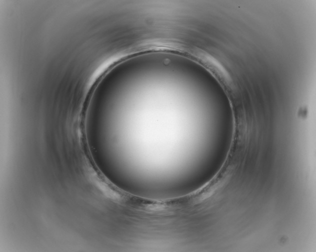 X0000092061182200709121348
